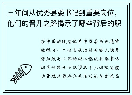 三年间从优秀县委书记到重要岗位，他们的晋升之路揭示了哪些背后的职场密码