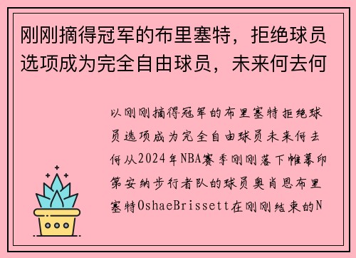 刚刚摘得冠军的布里塞特，拒绝球员选项成为完全自由球员，未来何去何从？