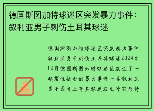 德国斯图加特球迷区突发暴力事件：叙利亚男子刺伤土耳其球迷